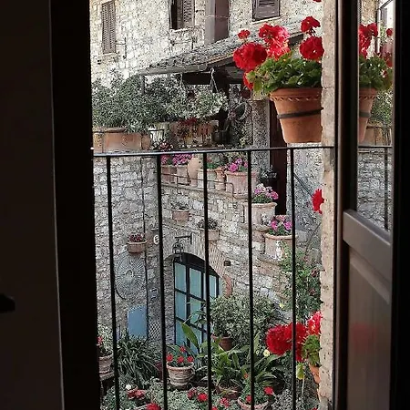 Casa Del Carro *